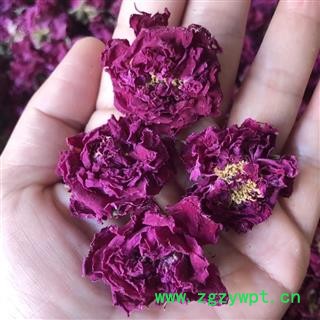 玫瑰花 玫瑰花冠 产地 云南省 买好药找娟子图4