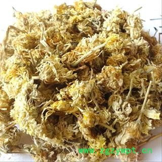 菊花 亳菊 产地 安徽省亳州市 娟子中药 中药材花草茶批发图2