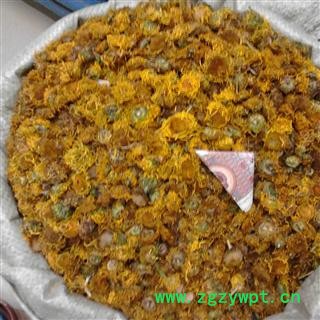 旋复花 旋覆花  2021 产地 云南省曲靖市罗平县图2