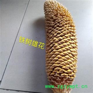 铁树花 雄花  选 2020 产地 四川省德阳市图2