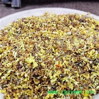 桂花 岩桂 木犀 九里香 金粟 茶用桂花 产地 安徽省图2