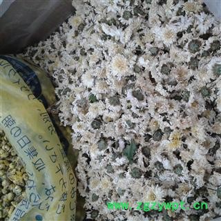 贡菊 太阳菊 太阳花 产地 安徽省图2