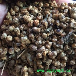 新辉药业中药材野菊花 产地安徽图2