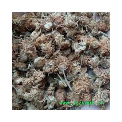 菊花 无硫菊花 小菊花 药用 今年新货 无虫蛀无霉变 产地 河北省