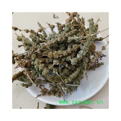 瑞森药材行荆芥穗 荆芥穗统货芥穗 有一定量种子 产地 河北省