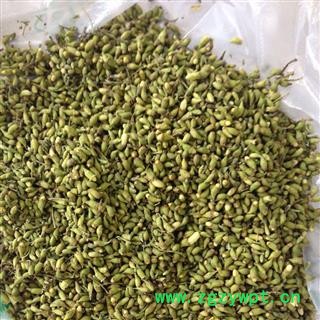 槐米 槐花 统 产地 山东省 华美中药 产地直销 重在品质图3