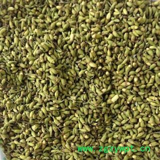 槐米 槐花 统 产地 山东省 华美中药 产地直销 重在品质图2