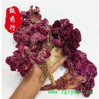 鸡冠花 大鸡冠花统货 一手货源批发 产地四川 甄选药材行 为你真选好药材图3