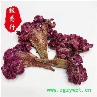 鸡冠花 大鸡冠花统货 一手货源批发 产地四川 甄选药材行 为你真选好药材图2