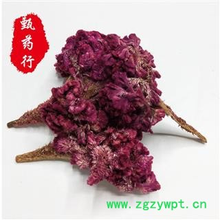 鸡冠花 大鸡冠花统货 一手货源批发 产地四川 甄选药材行 为你真选好药材图4