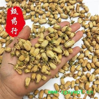 玳玳花 代代花好统货 一手货源批发 产地浙江 甄选药材行图3