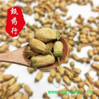 玳玳花 代代花好统货 一手货源批发 产地浙江 甄选药材行图4