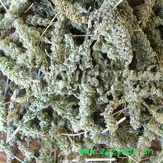 荆芥穗 荆芥穗统货 纯青色 有一定量子 产地 河北省图2
