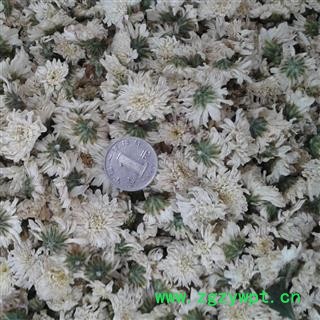 菊花 太阳菊 太阳花 极品好货  产地 安徽省 娟子中药批发花茶图2