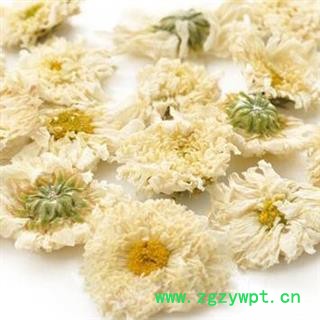 菊花 太阳菊 太阳花 极品好货  产地 安徽省 娟子中药批发花茶图3