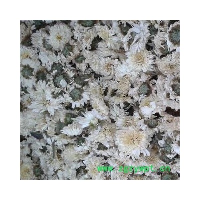 菊花 太阳菊 太阳花 极品好货  产地 安徽省 娟子中药批发花茶