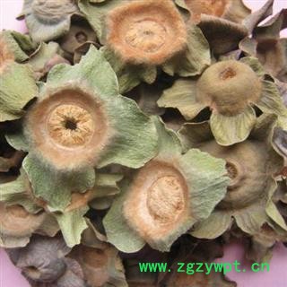 娟子中药 柿蒂 头茬柿蒂  产地 山西省图3