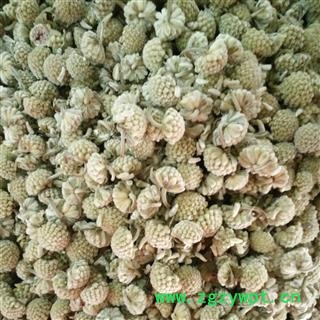 绿萝花 茶用绿萝花 黄金葛 藤芋 石柑子 马蹄金  批发花草茶 选 产地 西藏自治区图2