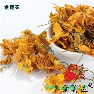 金莲花 旱荷、旱莲花寒荷、陆地莲、旱地莲、金梅草、金疙瘩 茶用 药用 产地 内蒙古自治区图2