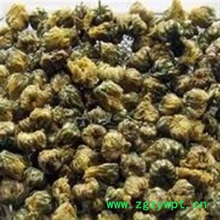 新辉药业胎菊 优质正品图2