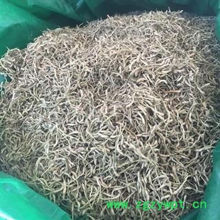 新辉药业河北巨鹿金银花 双花图3