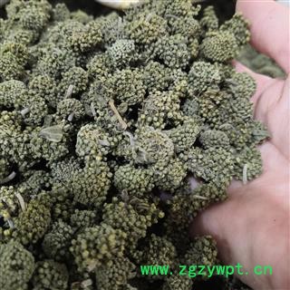 新辉药业正品云南文山三七花  田七花养生茶图2