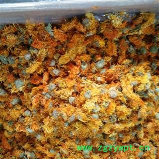 新辉药业优质花茶金莲花  新货无硫图2