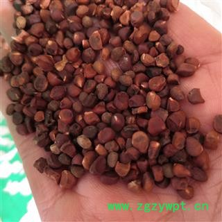 新辉药业中药材营实 蔷薇子 野蔷薇子 石珊瑚图2