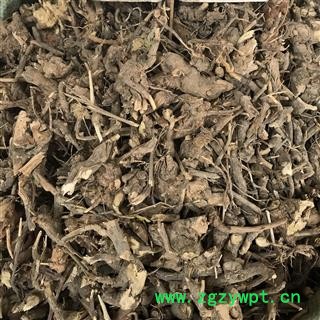 白牛胆 山白芷 羊耳菊 羊耳菊根 全根毛柴胡 瑞森药材行产地直销量大从优图2