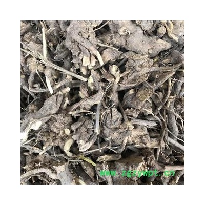 白牛胆 山白芷 羊耳菊 羊耳菊根 全根毛柴胡 瑞森药材行产地直销量大从优