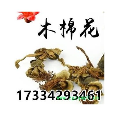 木棉花 木棉花干   木棉花 地芙蓉