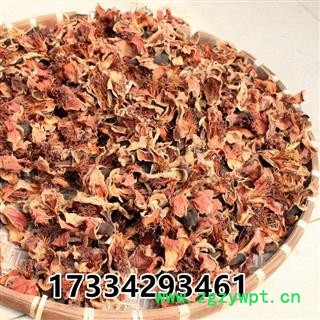 木棉花 木棉花干   木棉花 地芙蓉图3