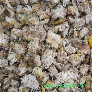 菊花 白菊花 选货 产地 河北 华美中药 产地直销 重在品质图2