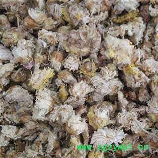 菊花 白菊花 选货 产地 河北 华美中药 产地直销 重在品质图3