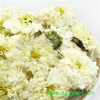 白菊花 一级选货 白菊花 产地 安徽省 本店批发各种中药材图2
