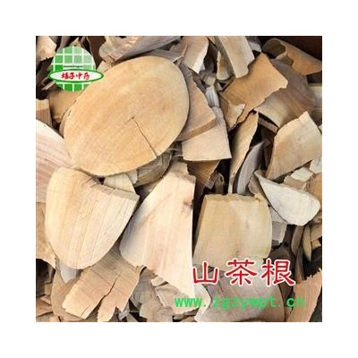 山茶花 山茶根  产地 福建省 买好药找娟子