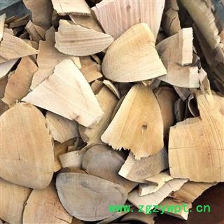 山茶花 山茶根  产地 福建省 买好药找娟子图2