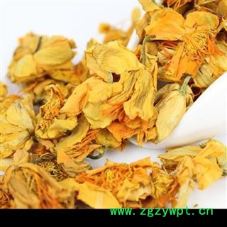 金莲花 旱荷、旱莲花寒荷、陆地莲、旱地莲、金梅草、金疙瘩 茶用  产地 内蒙古自治区图3