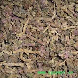 款冬花 款冬花统货 产地 甘肃省图2