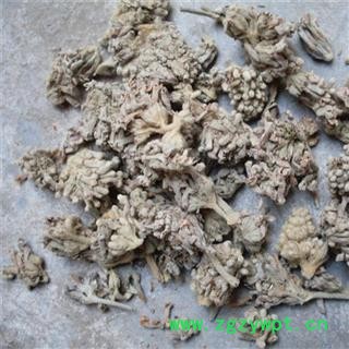 密蒙花 密蒙花选货 产地 四川省 凯捷中药图2