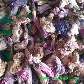 新辉药业优质蜀季花  吴葵花 侧金盏  棋盘花 木槿花图2