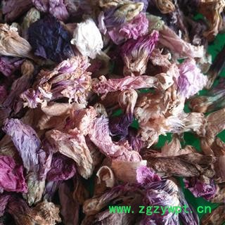 新辉药业优质蜀季花  吴葵花 侧金盏  棋盘花 木槿花图3