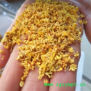 新辉药业桂花  浓香型桂花干花 新货批发图2