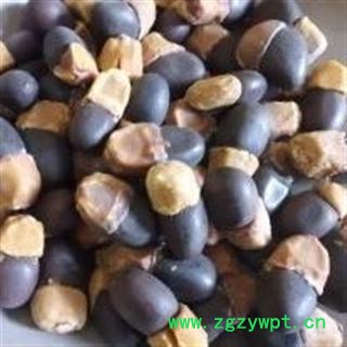 新辉药业正品菩提树花 缅茄 产地图3