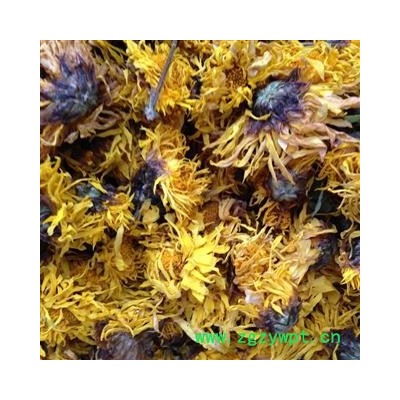 新辉药业优质菊花 杭黄菊  杭白菊