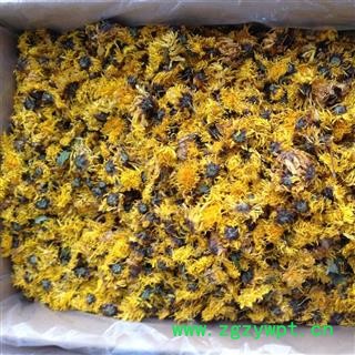新辉药业优质菊花 杭黄菊  杭白菊图3