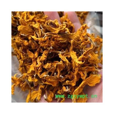 新辉药业向日葵花  无硫新货另有向日葵髓