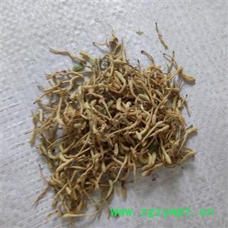 金银花 金银花开花统货 产地 河南省图2