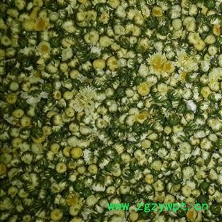 胎菊 选货 产地 浙江省 华美中药 产地直销 重在品质图3