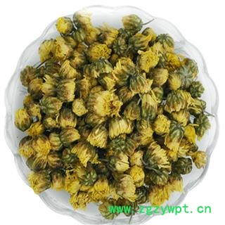 胎菊 选货 产地 浙江省 华美中药 产地直销 重在品质图2